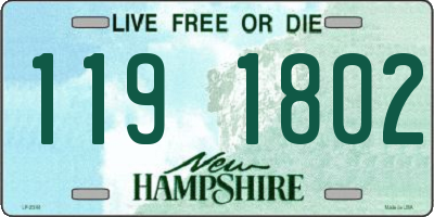 NH license plate 1191802