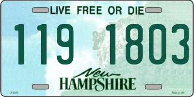 NH license plate 1191803