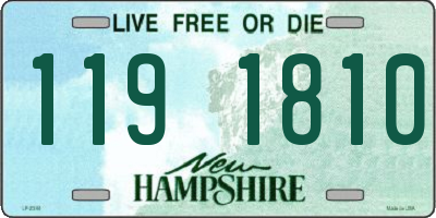NH license plate 1191810