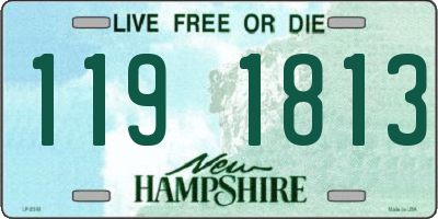 NH license plate 1191813