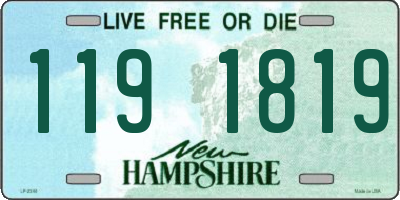 NH license plate 1191819
