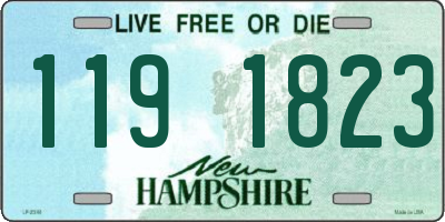 NH license plate 1191823