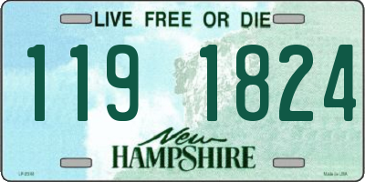 NH license plate 1191824