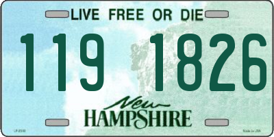 NH license plate 1191826