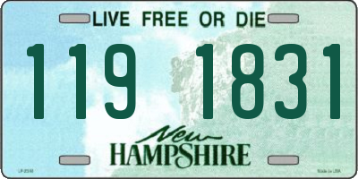 NH license plate 1191831
