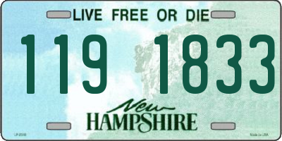 NH license plate 1191833