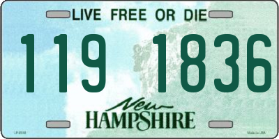 NH license plate 1191836