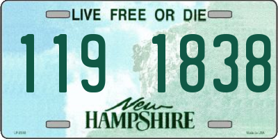 NH license plate 1191838