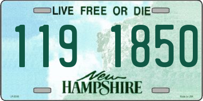 NH license plate 1191850