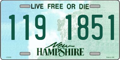 NH license plate 1191851