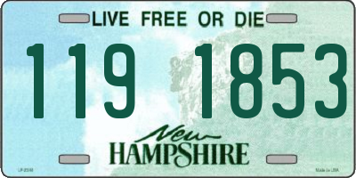 NH license plate 1191853