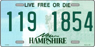 NH license plate 1191854