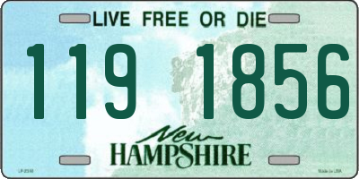 NH license plate 1191856
