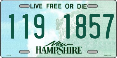 NH license plate 1191857