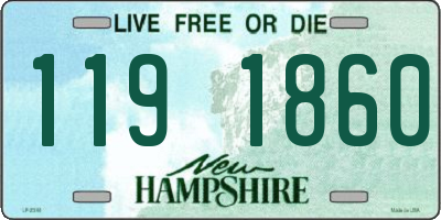 NH license plate 1191860