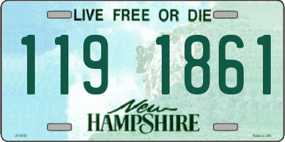 NH license plate 1191861