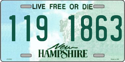 NH license plate 1191863