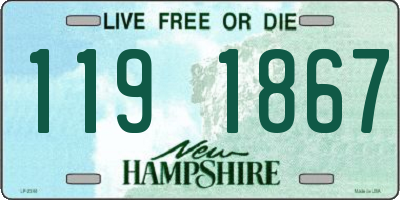 NH license plate 1191867