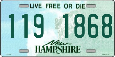 NH license plate 1191868