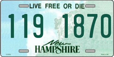 NH license plate 1191870