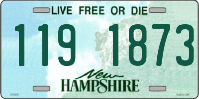 NH license plate 1191873