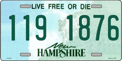 NH license plate 1191876
