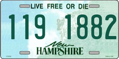 NH license plate 1191882