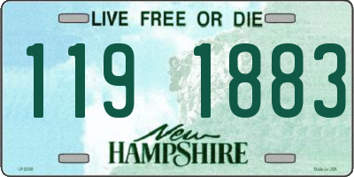 NH license plate 1191883