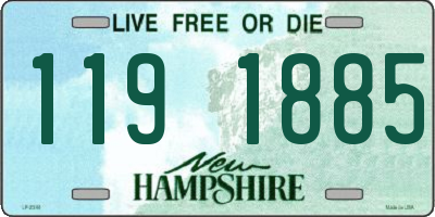 NH license plate 1191885