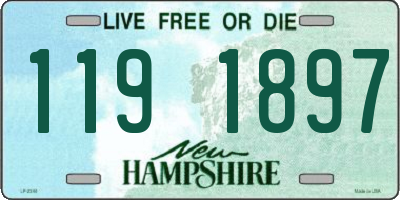NH license plate 1191897