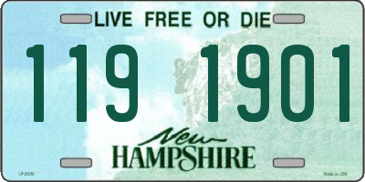 NH license plate 1191901