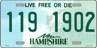 NH license plate 1191902