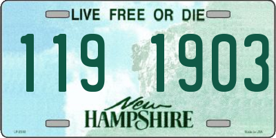 NH license plate 1191903