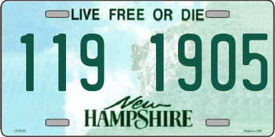 NH license plate 1191905