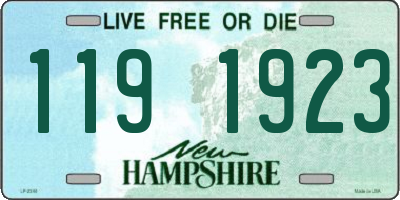 NH license plate 1191923
