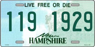 NH license plate 1191929