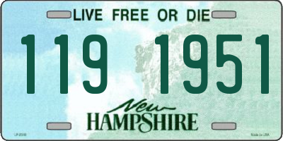 NH license plate 1191951