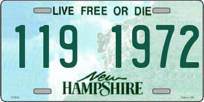 NH license plate 1191972