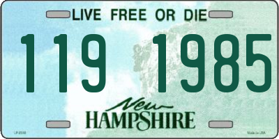 NH license plate 1191985