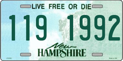 NH license plate 1191992