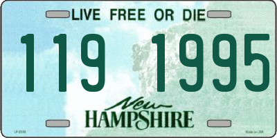 NH license plate 1191995