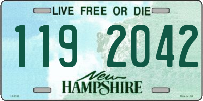 NH license plate 1192042