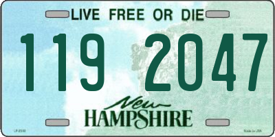 NH license plate 1192047