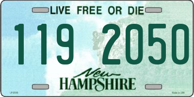 NH license plate 1192050