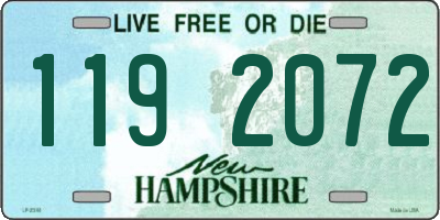 NH license plate 1192072