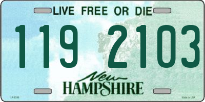 NH license plate 1192103