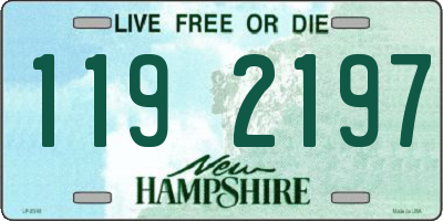 NH license plate 1192197