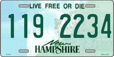 NH license plate 1192234