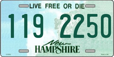 NH license plate 1192250