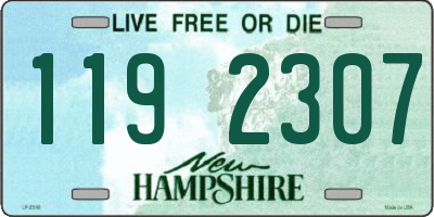 NH license plate 1192307